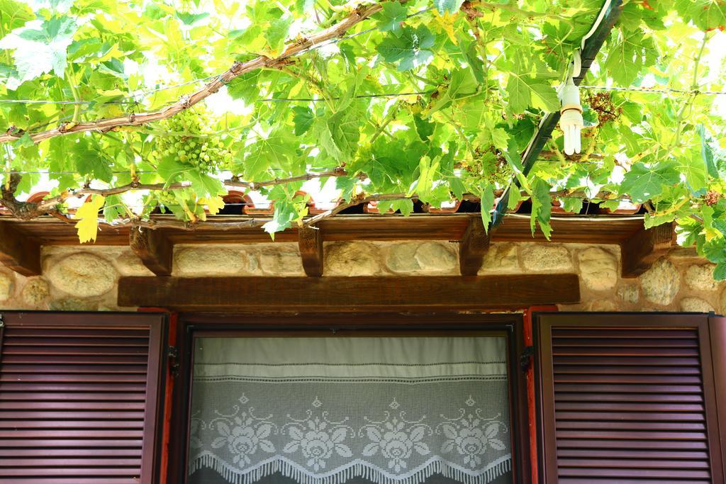 Villa Agapitos Sithonia Exteriör bild